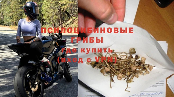 гидра Алексеевка