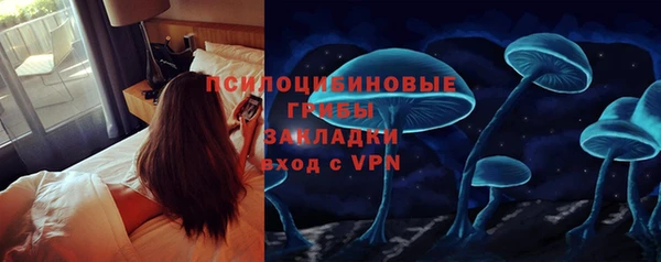 гидра Алексеевка