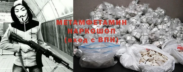 гидра Алексеевка